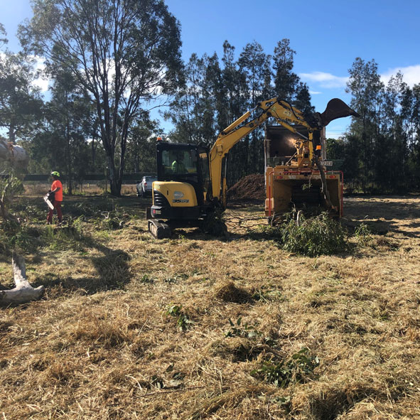 Land Clearing
