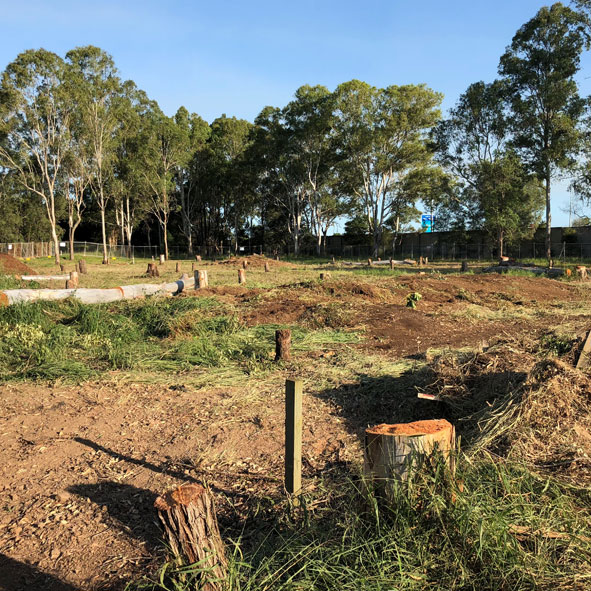 Land Clearing